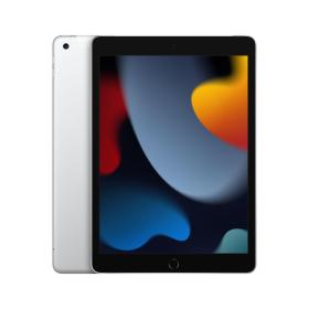 Apple iPad 4G LTE 256 GB 25,9 cm (10.2") Wi-Fi 5 (802.11ac) iPadOS 15 Silber
