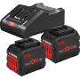 Bosch 1 600 A01 6GU accesorio para destornillador eléctrico Batería Negro, Rojo