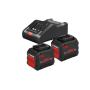 Bosch 1600A016GY Battery & charger set