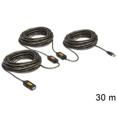 DeLOCK 30m, USB2.0 - USB2.0 USB cable USB A Black