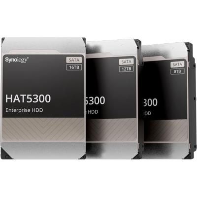 ▷ Synology HAT5300-16T disque dur 3.5 16 To Série ATA III