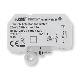 Homematic IP HmIP-FSM16 Actuador de conmutación