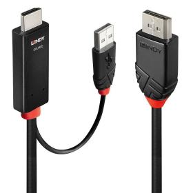 Lindy 41499 adaptador de cable de vídeo 2 m HDMI + USB Type-A DisplayPort Negro