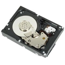 DELL 400-BLLG disco duro interno 3.5" 2 TB Serial ATA III