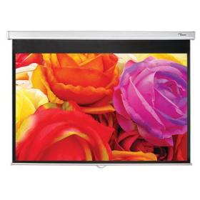Optoma DS-1095PMG+ projection screen 2.41 m (95") 16 10