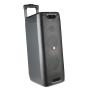 ▷ NGS WILD RAVE 1 Stereo portable speaker Black 200 W | Trippodo