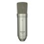 Tascam TM-80 microfono Oro Microfono da studio