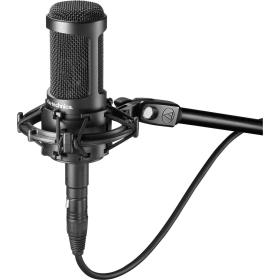 Audio-Technica AT2050 microphone