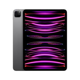 Apple iPad Pro 256 GB 27,9 cm (11 Zoll) Apple M 8 GB Wi-Fi 6E (802.11ax) iPadOS 16 Grau