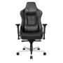 AKRacing Pro PC gaming chair Upholstered padded seat Black