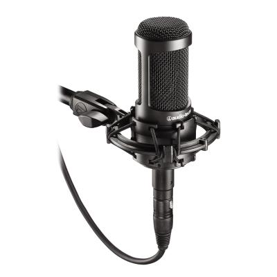 Audio-Technica AT2035 microphone