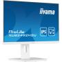 iiyama ProLite XUB2492HSU-W5 LED display 61 cm (24 Zoll) 1920 x 1080 Pixel Full HD Weiß