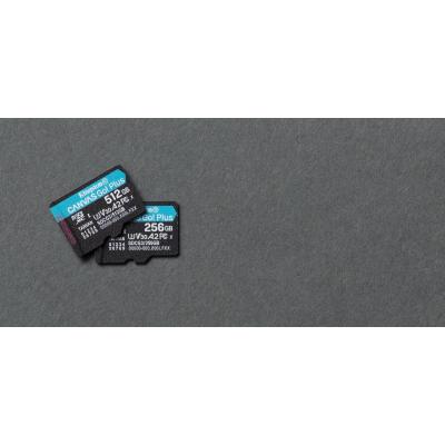 SanDisk Extreme Pro - Carte mémoire flash (adaptateur microSDXC vers SD  inclus(e)) - 512 Go - A2 / Video Class V30 / UHS-I U3 / Class10 - microSDXC  UHS-I - Carte mémoire
