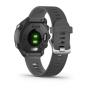 Garmin 010-02120-10 smartwatch   sport watch 3.05 cm (1.2") MIP 30 mm Black GPS (satellite)