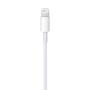 Apple Lightning - USB 2 m Weiß
