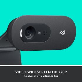 Logitech C505 HD Webcam 1280 x 720 Pixel USB Schwarz