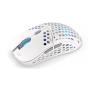 ENDORFY LIX Plus Onyx White Wireless mouse Mano destra RF Wireless + USB Type-C Ottico 19000 DPI