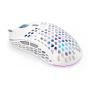 ENDORFY Mouse USB LIX OWH PMW3325 Maus Beidhändig USB Typ-C Optisch 8000 DPI