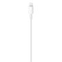 Apple MQGH2ZM A lightning cable 2 m White