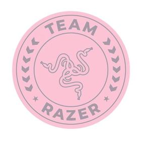 Razer Team Floor Rug