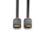 Lindy 36486 câble DisplayPort 10 m Noir