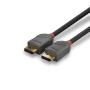 Lindy 10m DisplayPort 1.2 Cable, Anthra Line