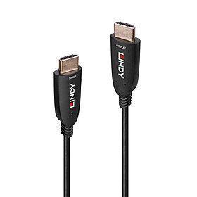 Lindy 38510 cable HDMI 10 m HDMI tipo A (Estándar) Negro