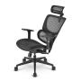 Sharkoon OfficePal C30 Nest seat Mesh backrest