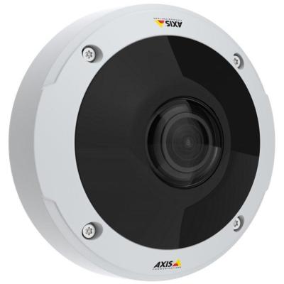 Axis 01178-001 Sicherheitskamera Kuppel IP-Sicherheitskamera Innen & Außen 3584 x 2688 Pixel Wand