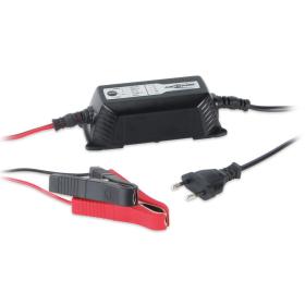 Ansmann ALCT 6-24 2 battery charger