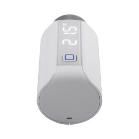 Homematic IP 155105A0 sensor ambiental para hogares inteligentes Inalámbrico