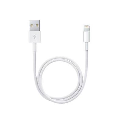 Apple Lightning   USB 0,5 m Blanc